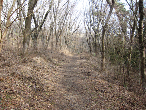 20200122hike (95)